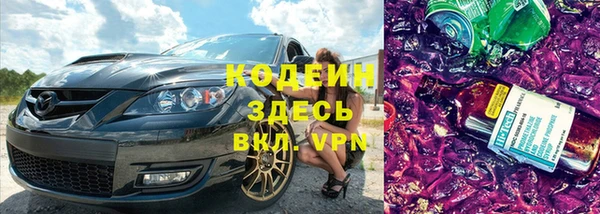 индика Рославль