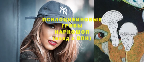 шишки Алексеевка